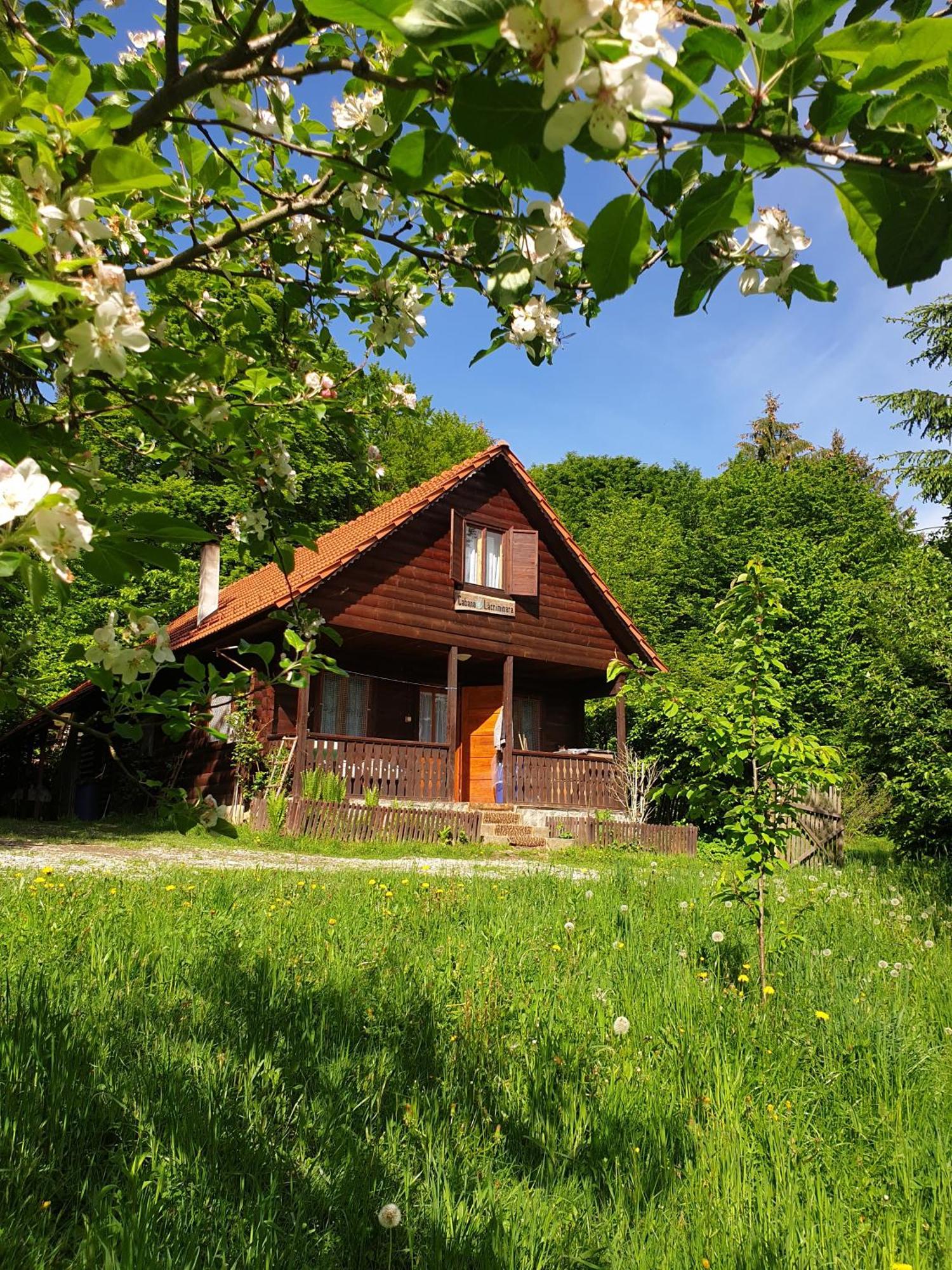 Casa Lacramioara Villa Sîmbăta de Sus Dış mekan fotoğraf